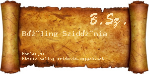 Báling Szidónia névjegykártya